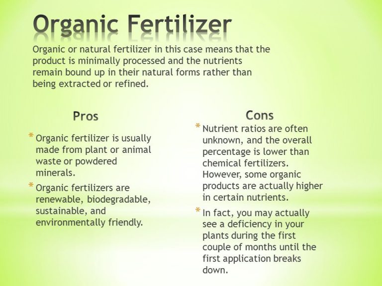 Organic Fertilizer Pros, Cons, and Tips Tech News Technology